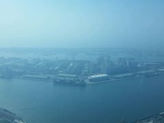-高雄85大楼-观景台