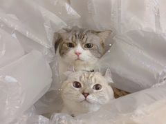 -天津工业大学西苑餐厅