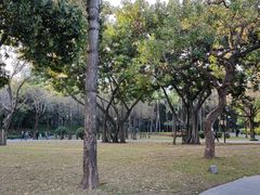 -晓港公园