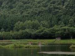 -腾冲北海湿地