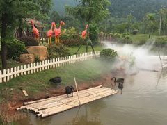 -美的鹭湖森林度假区