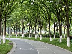 -院士公园