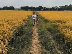 -光明小镇欢乐田园