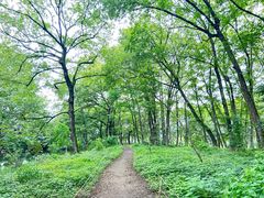 -西溪南古村落景区