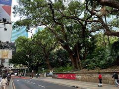 -九龙公园