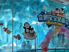 -帝企鹅自助餐厅•儿童岛•真企鹅(长隆企鹅酒店)