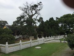 -司徒庙