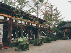 -青城甲(青城山店)