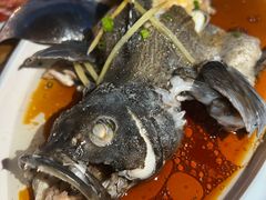 -蓝湾碧波·老字号·疍家非遗海上餐厅