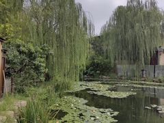 -茯茶镇