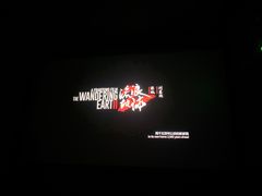 -华美国际影城(旧宫永辉店)