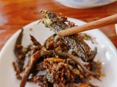-马路桥姜汤面(江城大楼店)
