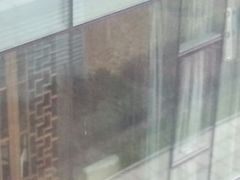 android_upload_pic-北京首都机场希尔顿酒店