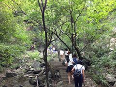 -藏龙百瀑风景区