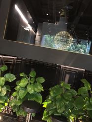 -意念造型