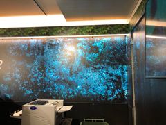 -怀托摩萤火虫洞