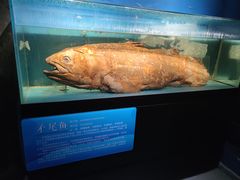 -国家自然博物馆