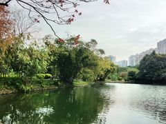-晓港公园