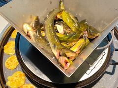 -米氏火鱼·泡椒鱼火锅(李子坝老店)