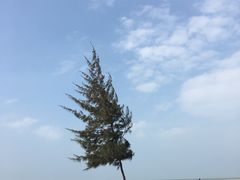 -白沙门生态公园