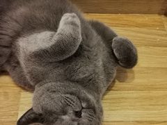 -壹人壹像工作室(购物公园店)