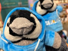 -悉尼海洋生物水族馆