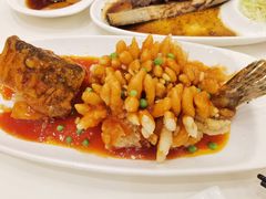 松鼠桂鱼-金时代顺风大酒店(金山店)