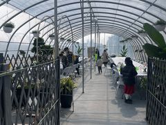 -嘉北郊野公园