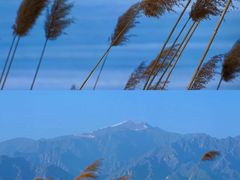 -野鸭湖国家湿地公园