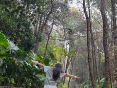 -铁山坪森林公园