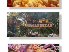 -杭州植物园
