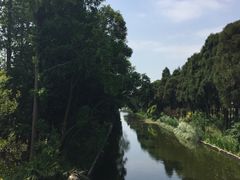 -上海长兴岛郊野公园