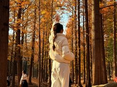 -白水寺森林公园