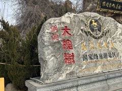 -大槐树寻根祭祖园
