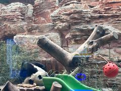 -石家庄市动物园