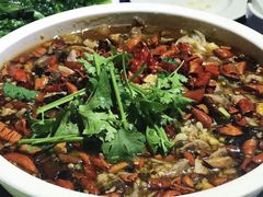 水煮肉片-佶政筋饼·新概念(安阳路店)