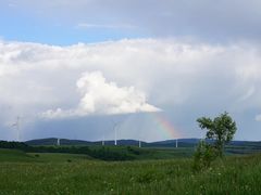 -塞罕坝国家级自然保护区