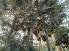 -祥源·阜阳生态乐园