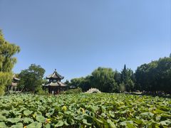 -莲池书院博物馆