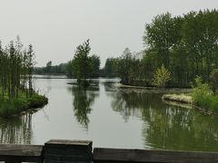 -溱湖国家湿地公园