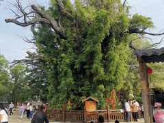 -大槐树寻根祭祖园