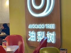 -油梨树AVOCADO TREE(嘉里中心店)