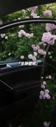 -小梨·OndaPro·专业脱毛连锁机构