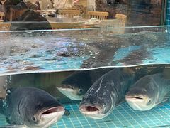 -浔味·山屿湖·正宗全鱼宴老字号
