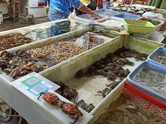 水产区-南沙十九涌渔人码头-南门