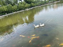 -中国农业博物馆