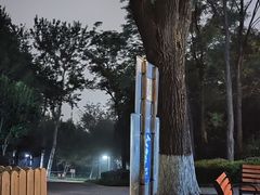 -云岗森林公园