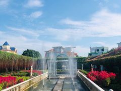 -百万葵园