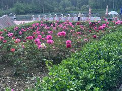 -仁和公园(顺义区)