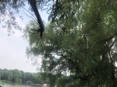-北陵公园